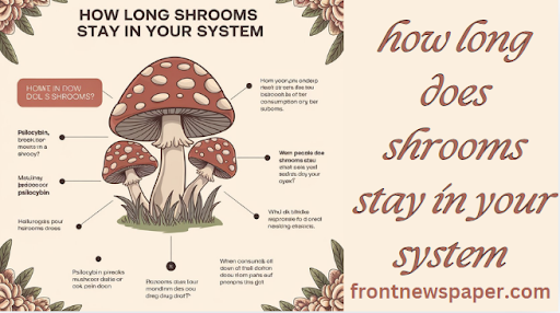 how long does shrooms stay in your system